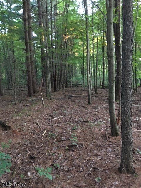 Bean Road Chardon, OH 44024 - Photo 1 of 1 this path runs along a ridge and is surrounded by pines