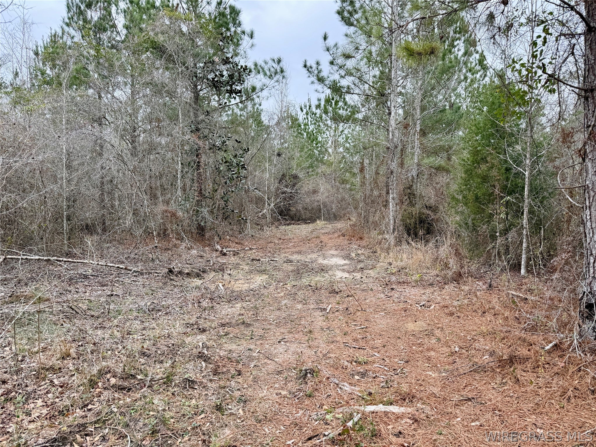 4 County Road 4 Slocomb, AL 36375 - Photo 22 of 29 Gallery Image 22