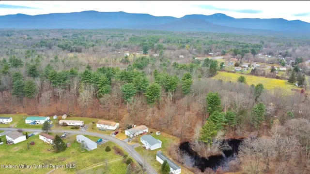 a view of a lake with a mountain