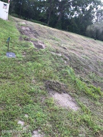 1184 Cleared Road Palm Bay, FL 32909 - Photo 12 of 13 IMG_1270