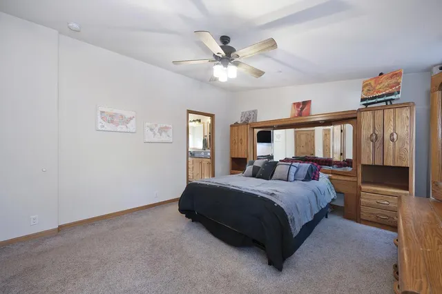 a view of a yard with plants and trees