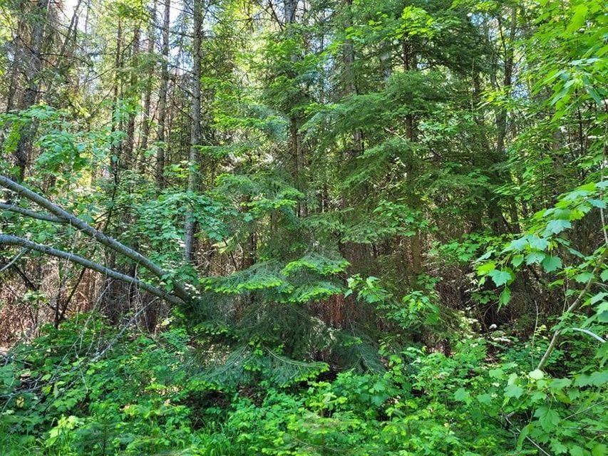 1673 Comstock Mine Road Colville, WA 99114 - Photo 1 of 5 Gallery Image 1