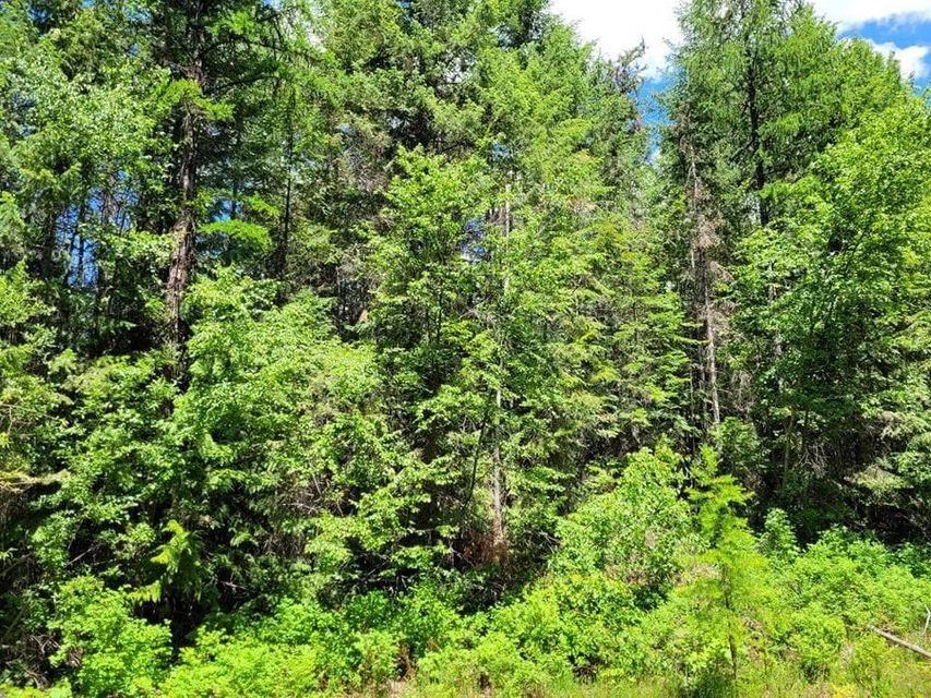 1673 Comstock Mine Road Colville, WA 99114 - Photo 2 of 5 Gallery Image 2