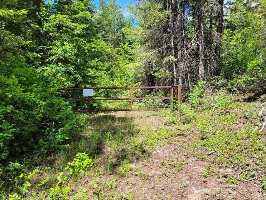1673 Comstock Mine Road Colville, WA 99114 - Photo 3 of 5 Gallery Image 3