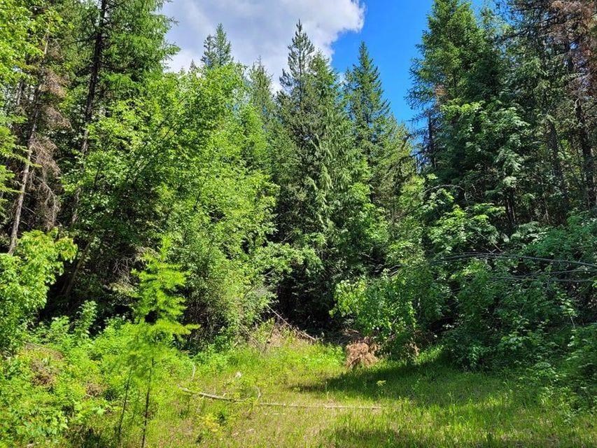 1673 Comstock Mine Road Colville, WA 99114 - Photo 4 of 5 Gallery Image 4