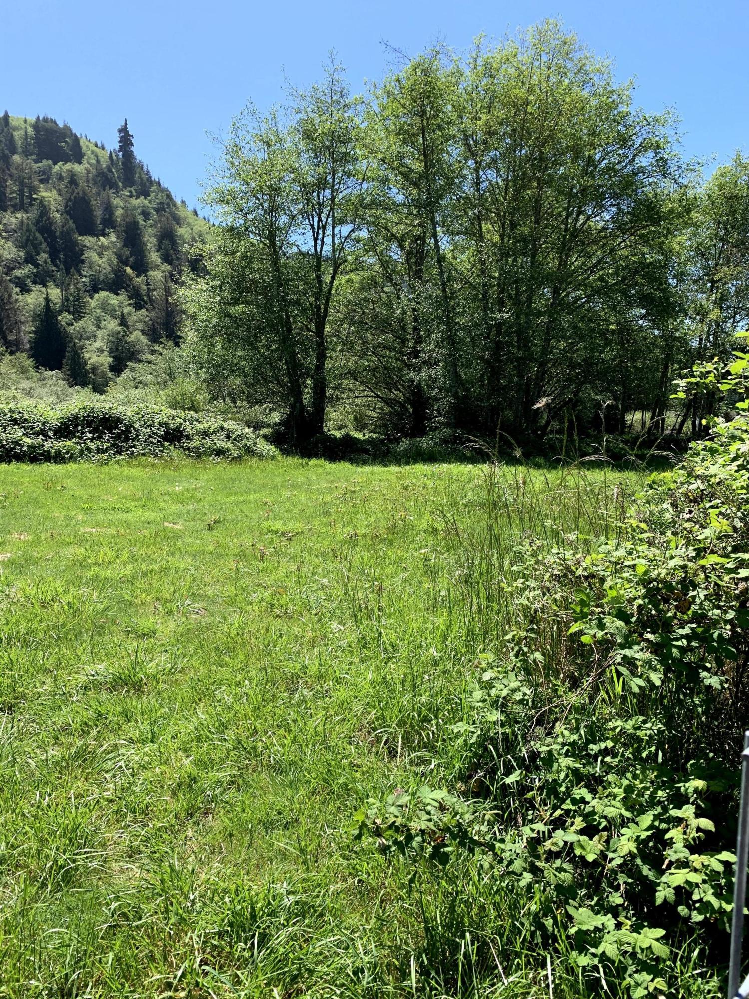 2191 Hunter Creek Road Klamath, CA 95548 - Photo 64 of 136