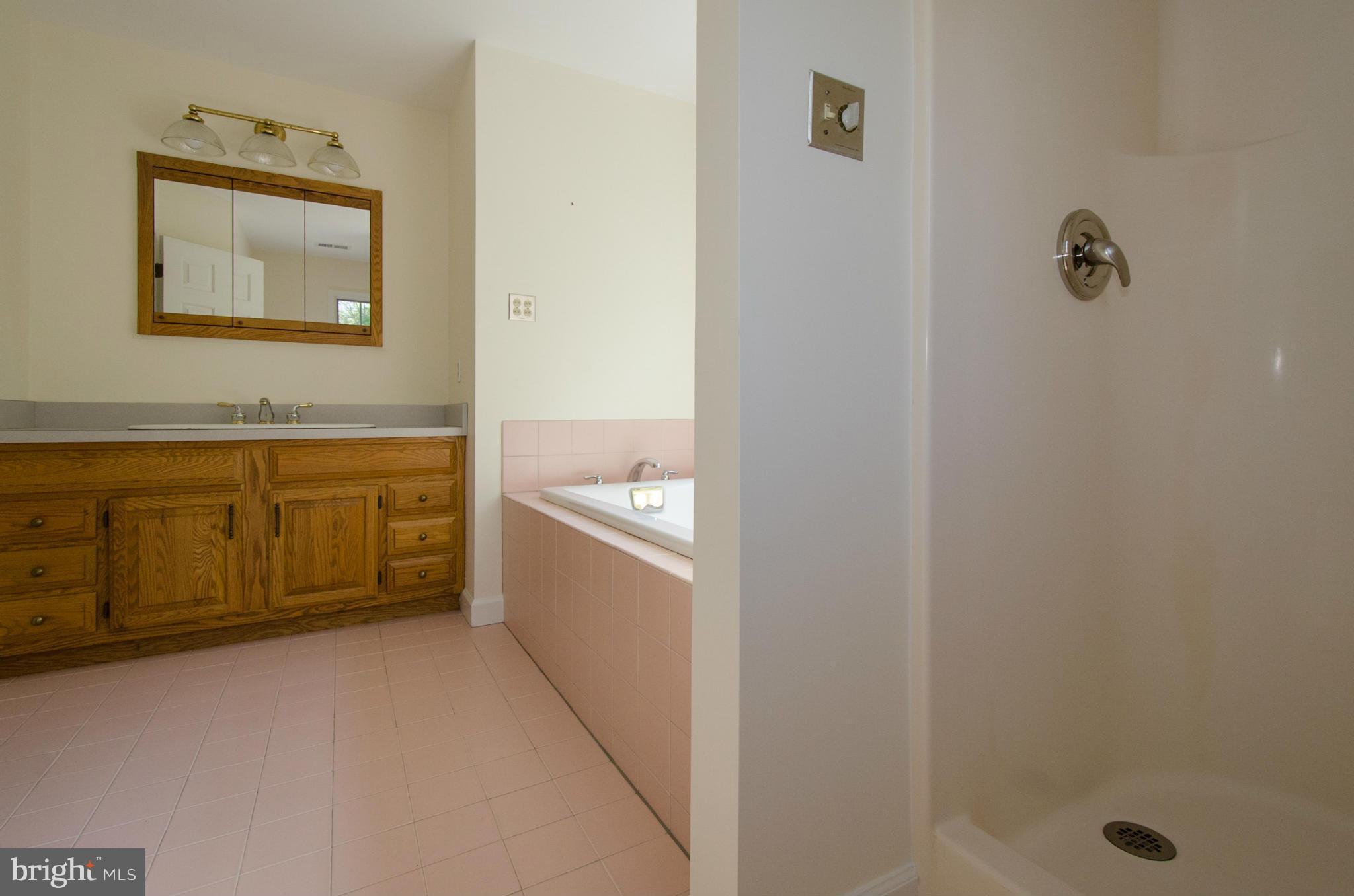 17610 Backbone Road Parkton, MD 21120 - Photo 18 of 30 Master Bath w/separate shower & jetted tub