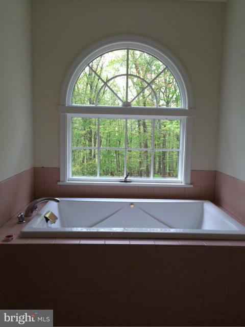 17610 Backbone Road Parkton, MD 21120 - Photo 19 of 30 Master Bath w/jetted soaking tub & separate shower