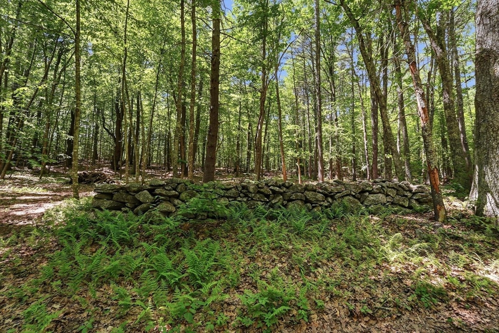 0 Carter Pond Road Petersham, MA 01366 - Photo 13 of 18
