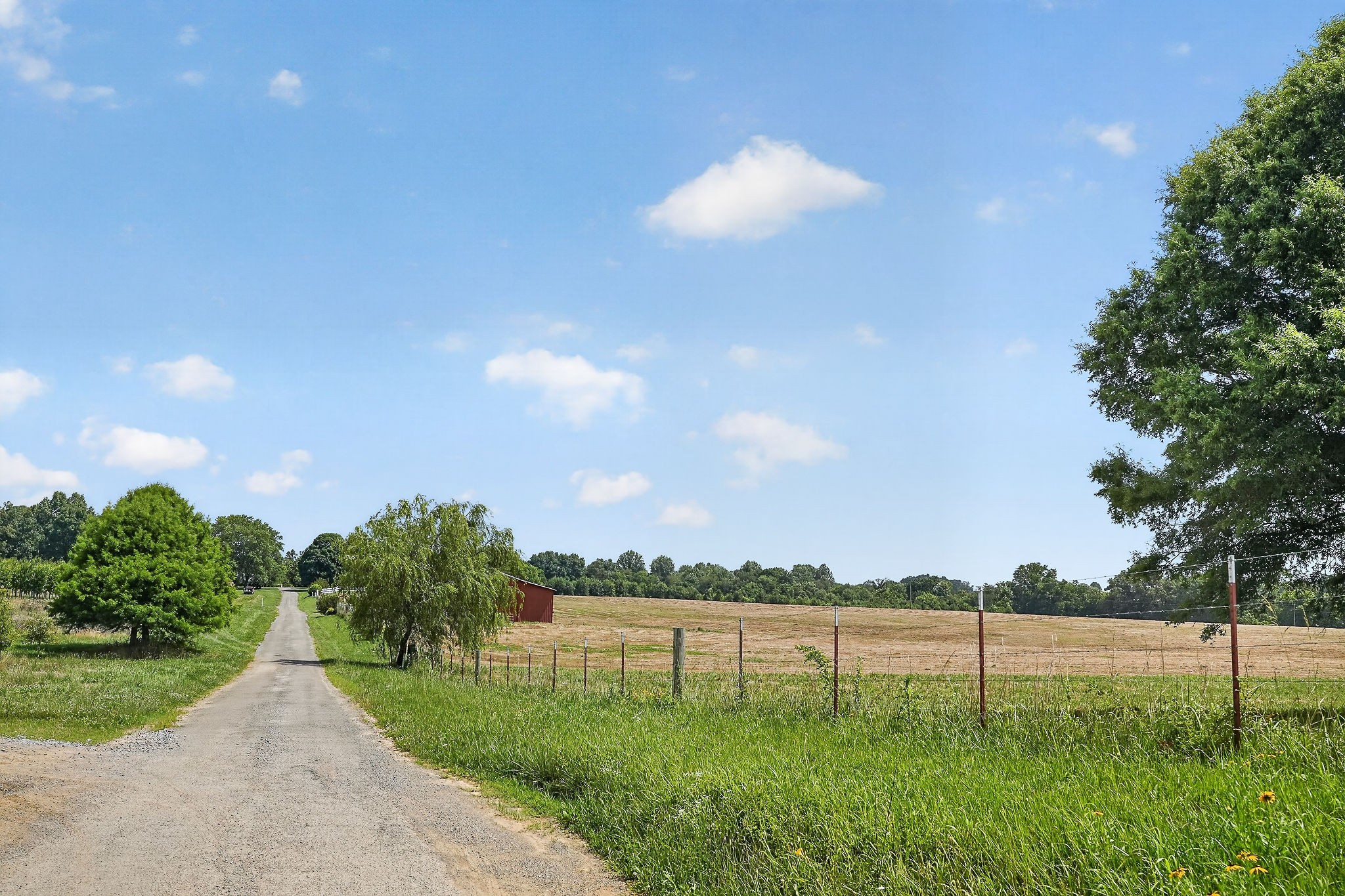 1600 Magness Road McMinnville, TN 37110 - Photo 41 of 63