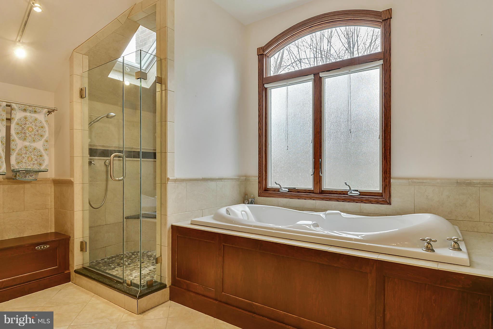 11605 Deer Forest Road Reston, VA 20194 - Photo 20 of 30 4 shower heads and jetted tub