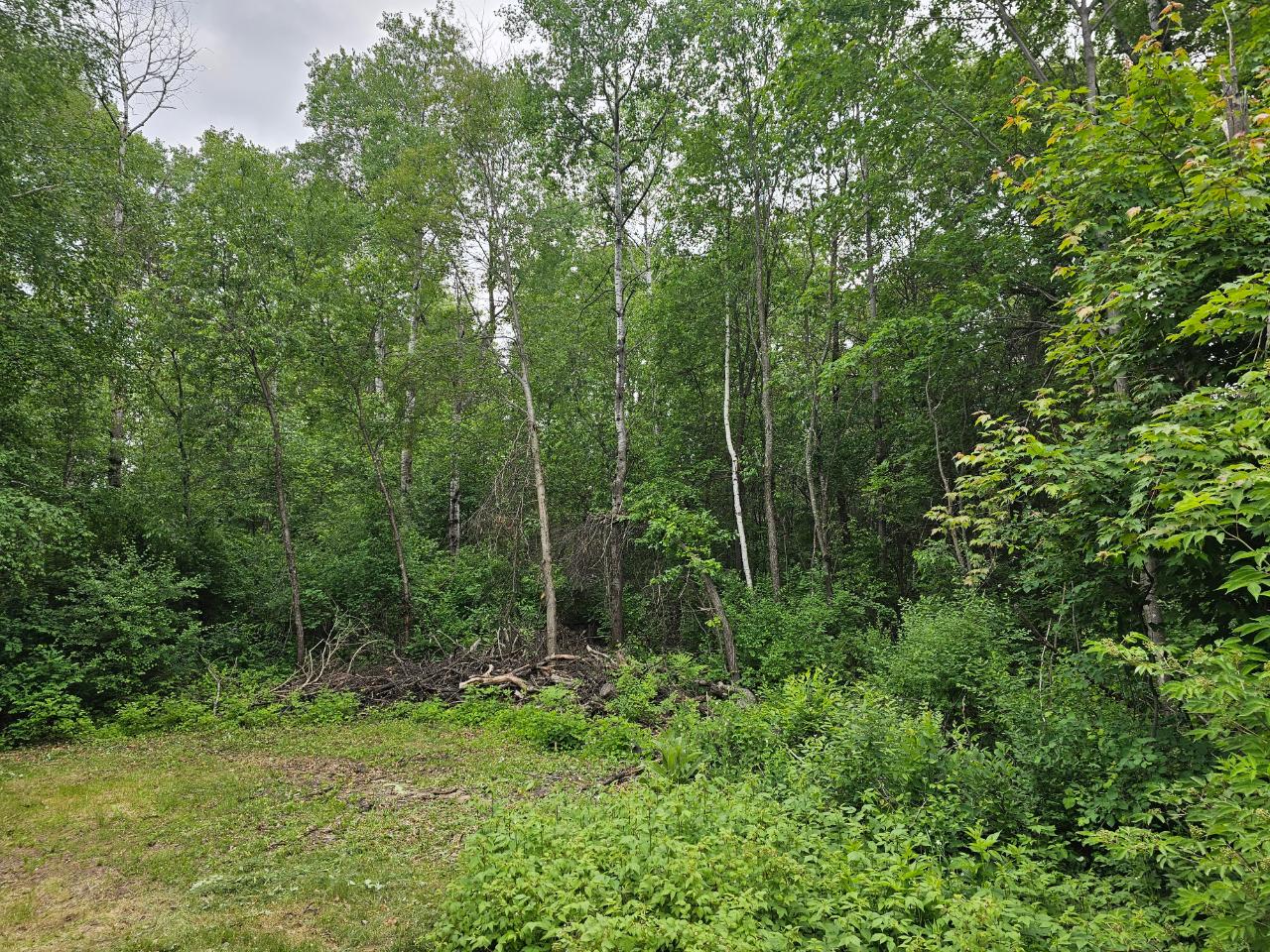 N10477 Echo Valley Road Tomahawk, WI 54487 - Photo 10 of 49 Gallery Image 10