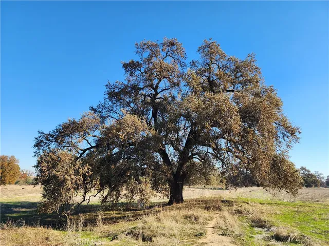 a view of an ocean and mountain