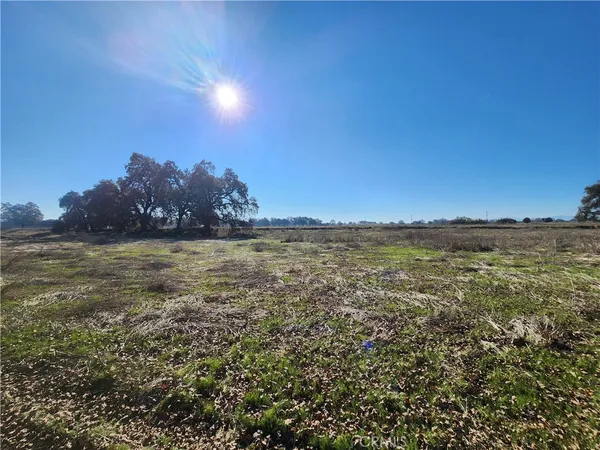 a view of a street with a ocean view