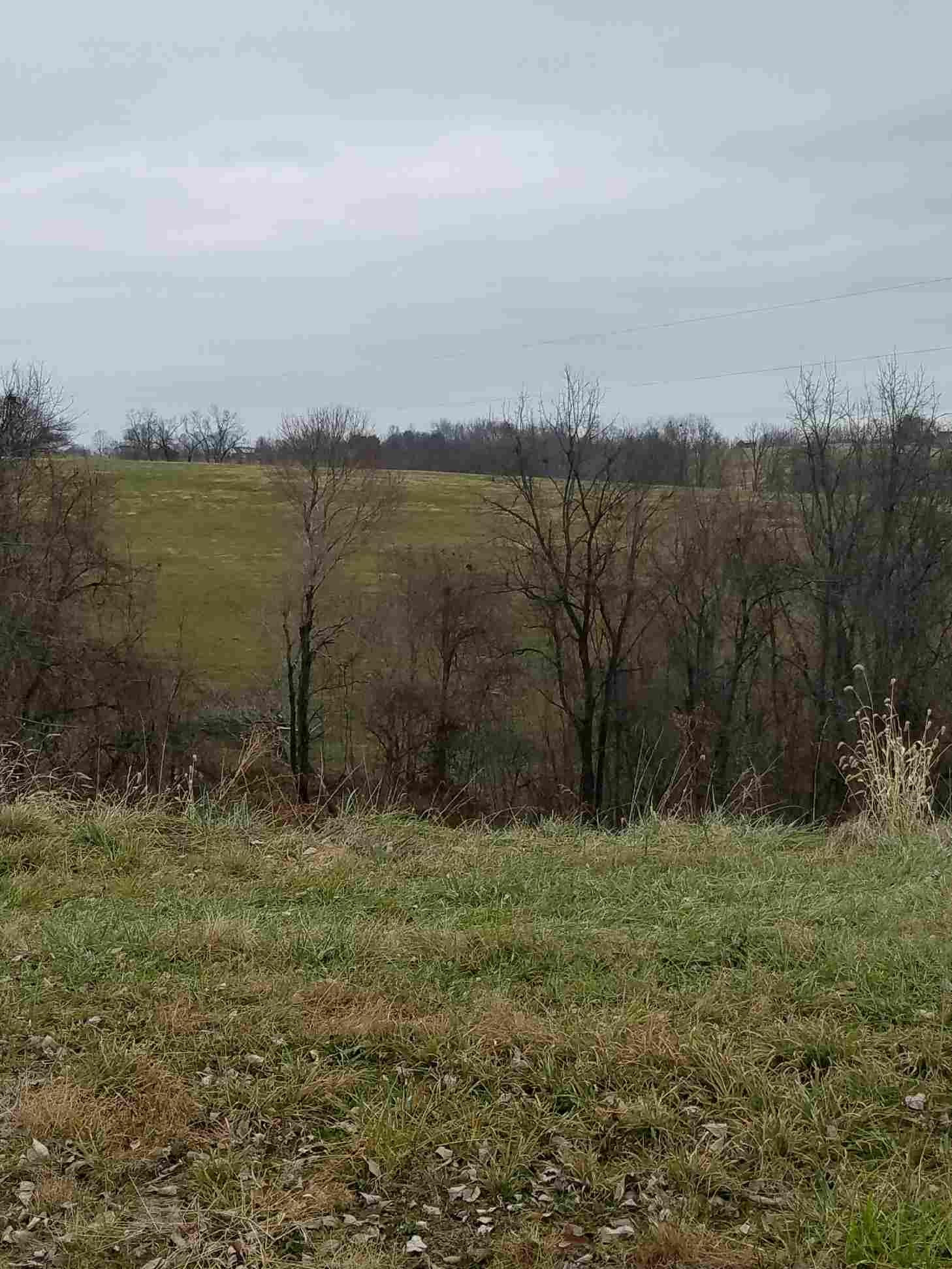 8170 Ironworks Road Winchester, KY 40391 - Photo 15 of 17 Photo 15