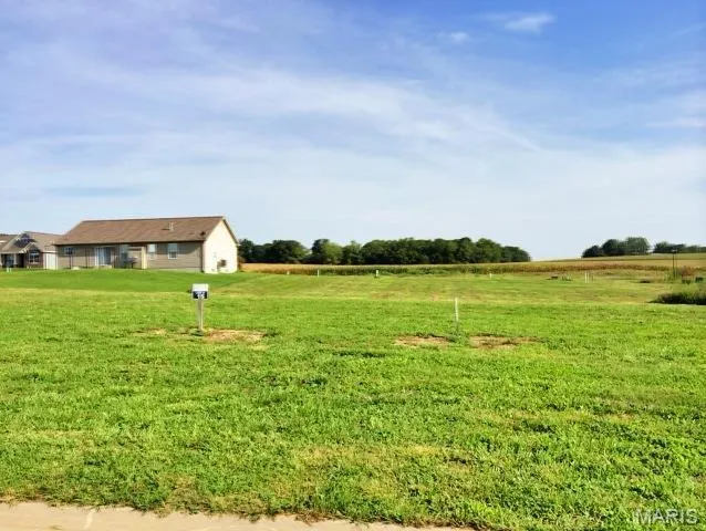 $36,500 | 517 Bluff Meadows Drive, Valmeyer, IL 62295