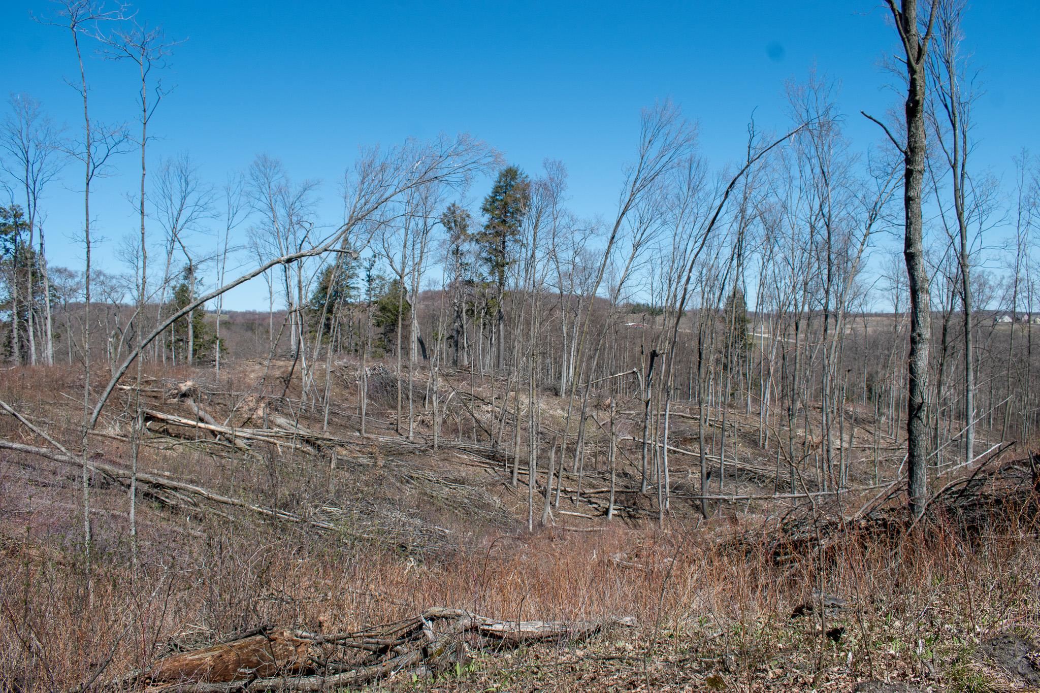 0 East Smiseth Road Suttons Bay, MI 49682 - Photo 26 of 67
