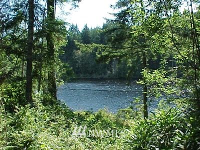 2 Silent Lake Road Quilcene, WA 98376 - Photo 1 of 1