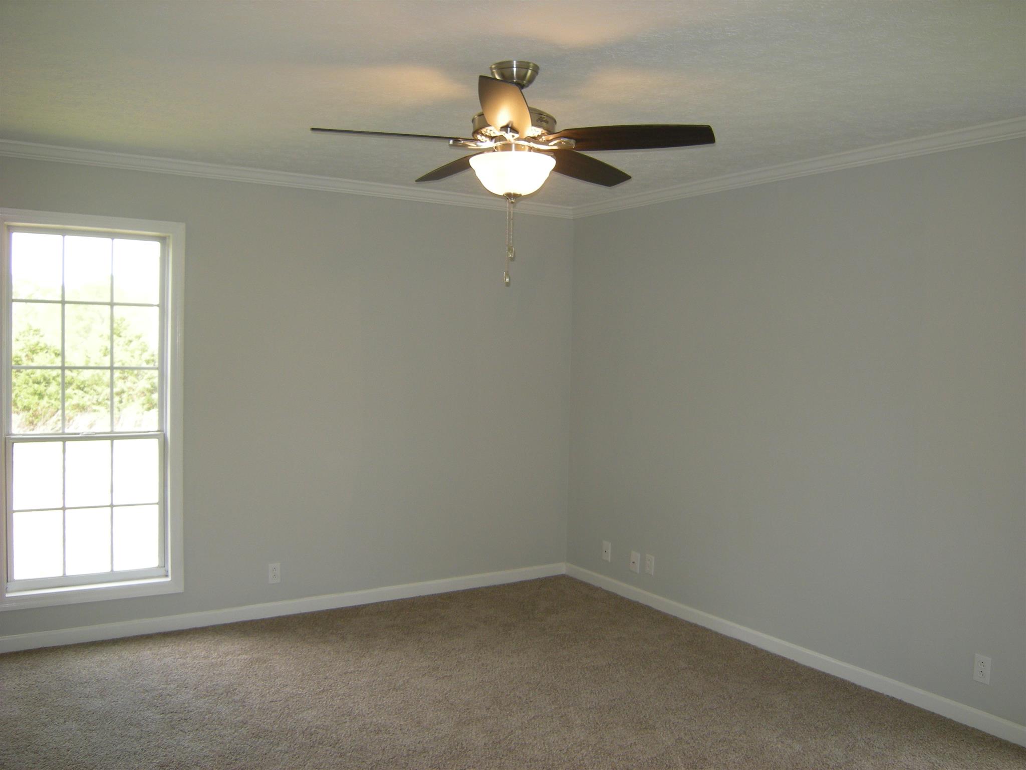 2584 South Mt Pleasant Road Greenbrier, TN 37073 - Photo 10 of 19 Gallery Image 10