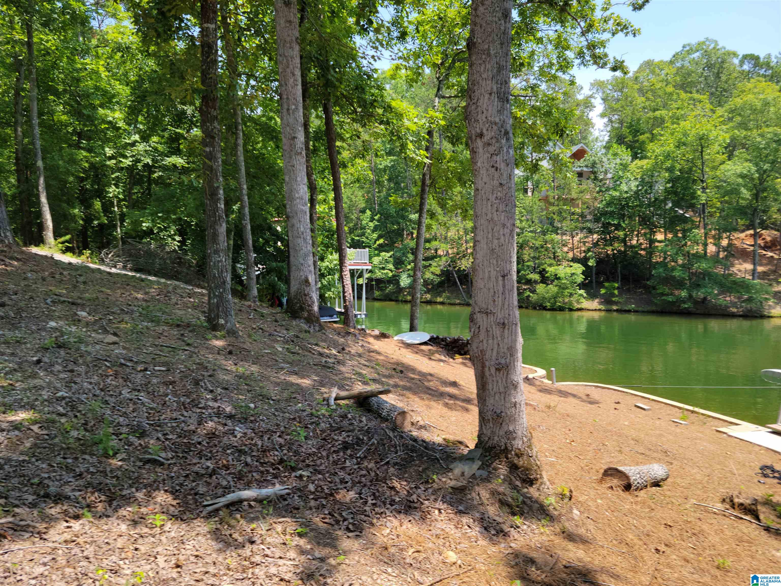 281 Red Cedar, Unit 121 Wedowee, AL 36278 - Photo 11 of 18