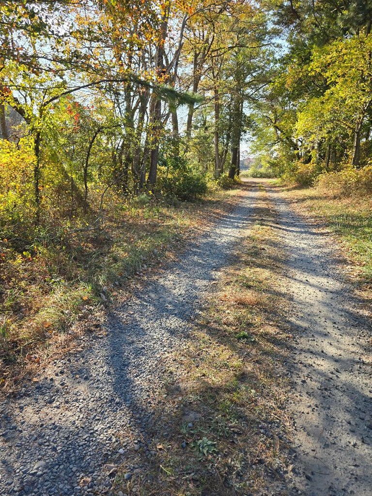 0 Doe Creek Road Onancock, VA 23417 - Photo 2 of 7