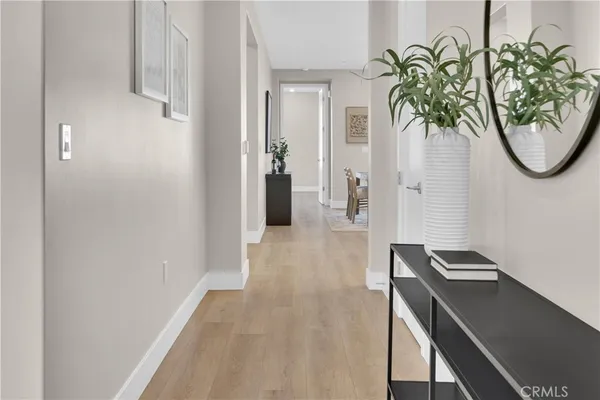 a floor to ceiling window and a potted plant