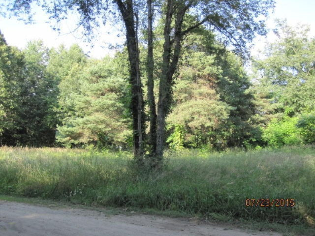 0 Riverside Drive Constantine, MI 49042 - Photo 1 of 2 IMG_1043