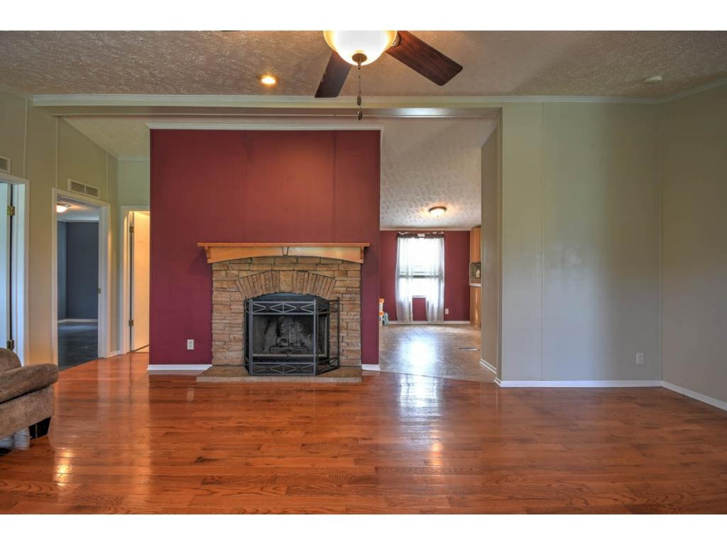 13160 Reedy Creek Road Bristol, VA 24202 - Photo 4 of 17 YOUR NICE FIREPLACE