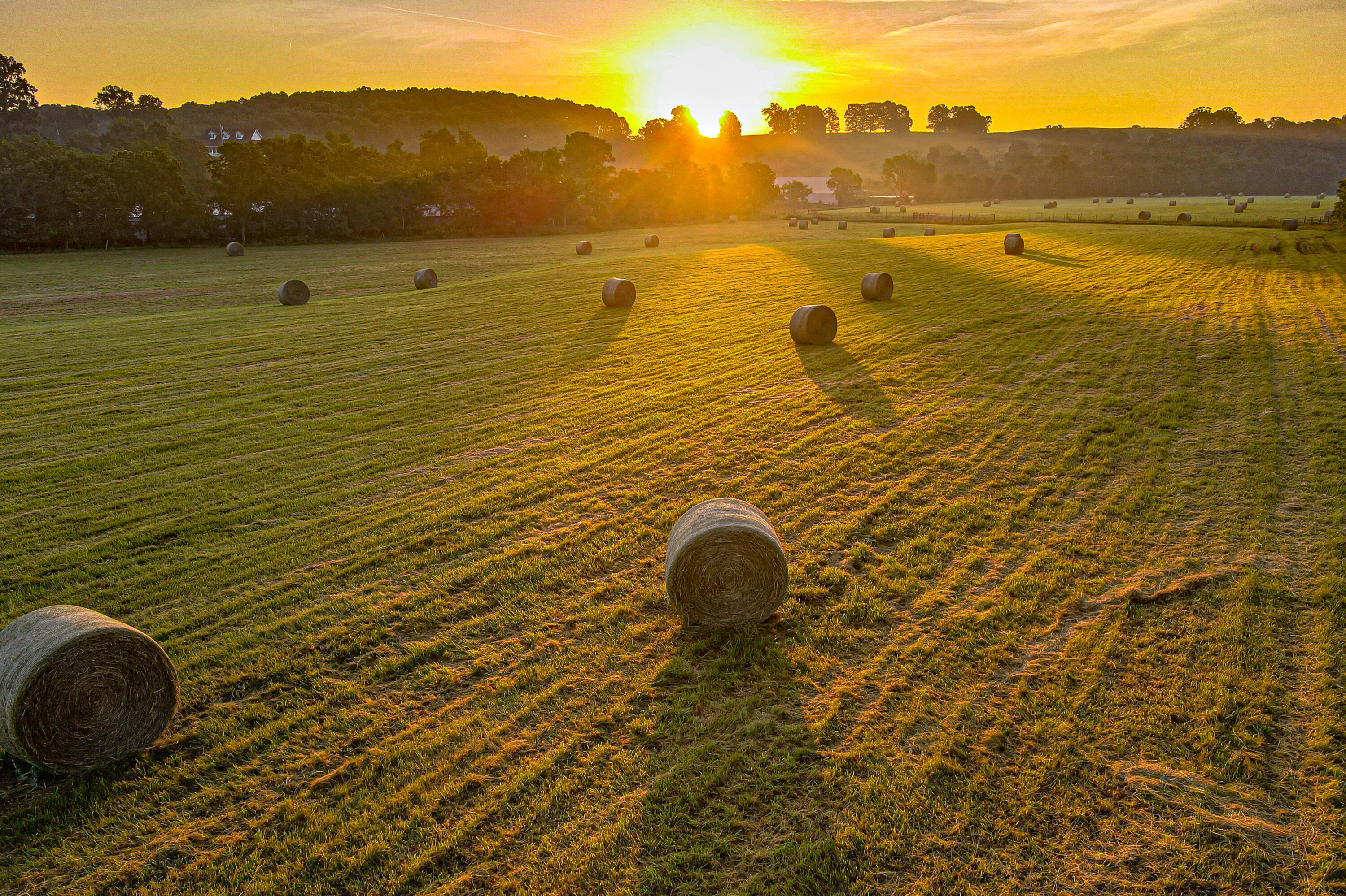 444 Rural Route 3, Unit O527 Ava, MO 65608 - Photo 88 of 89 AVA-FARM-DUSTIN-LEWIS-MLS-136