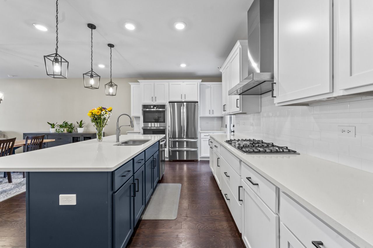 249 Hoffmann Drive Buffalo Grove, IL 60089 - Photo 20 of 36