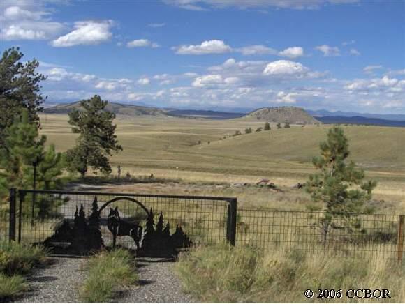 3655 Campfire Road Hartsel, CO 80449 - Photo 1 of 1