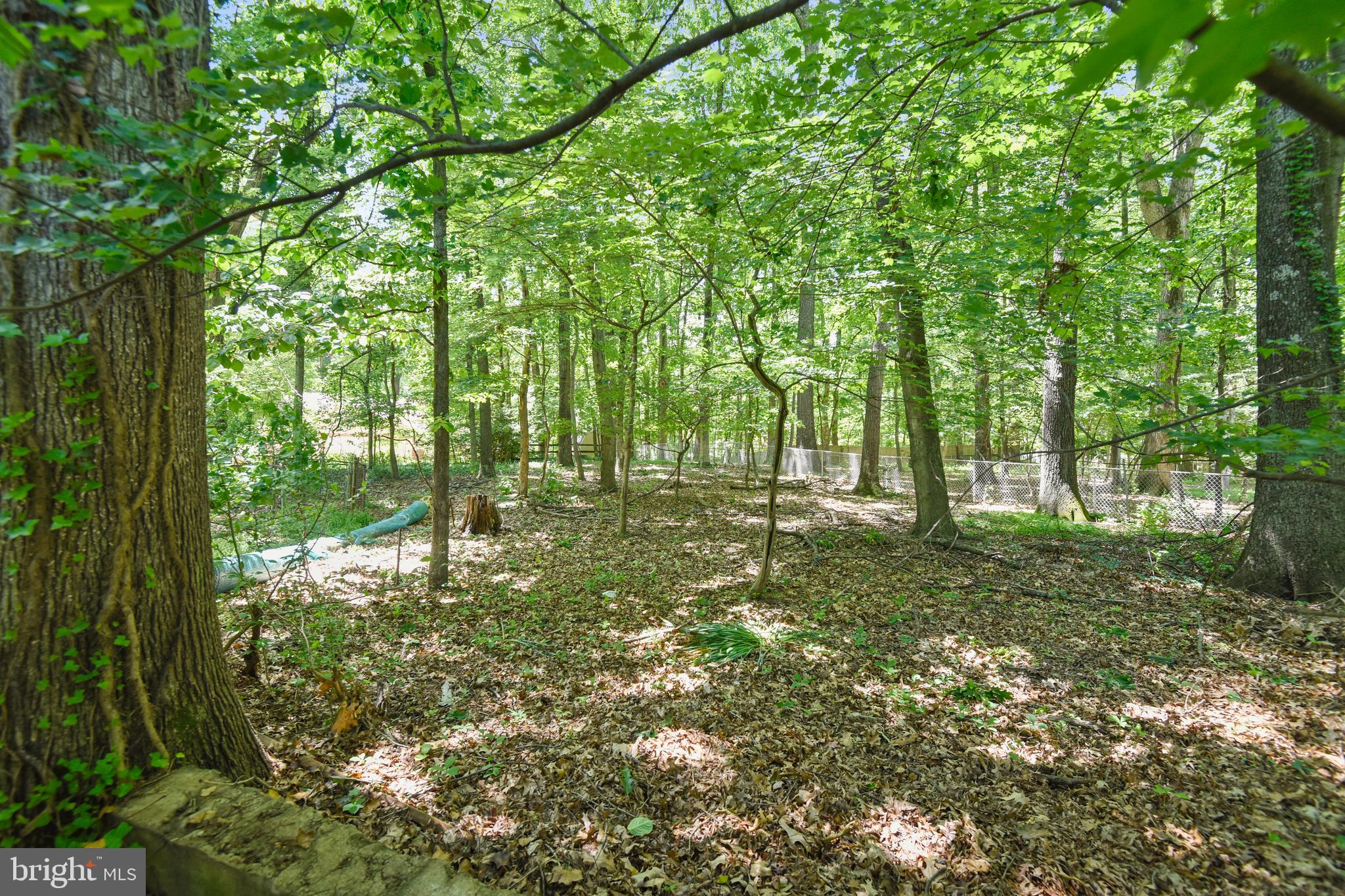 11342 Vale Road Oakton, VA 22124 - Photo 31 of 34 Sylvan Views