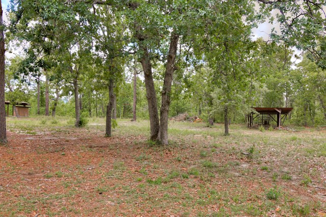 185 Gray Fox Road Williston, SC 29853 - Photo 23 of 23