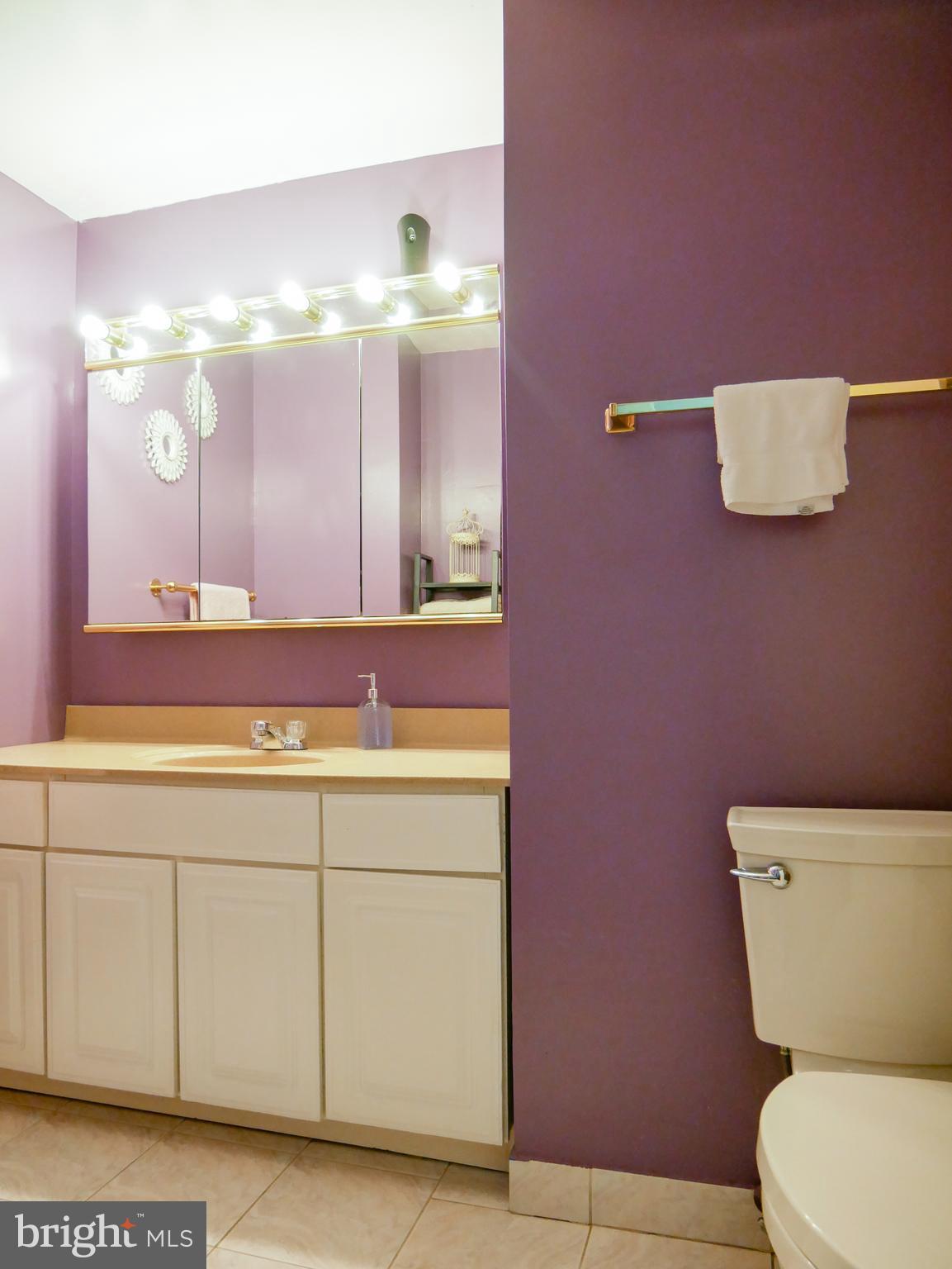 300 Eldrid Drive Silver Spring, MD 20904 - Photo 20 of 37 Hall bath