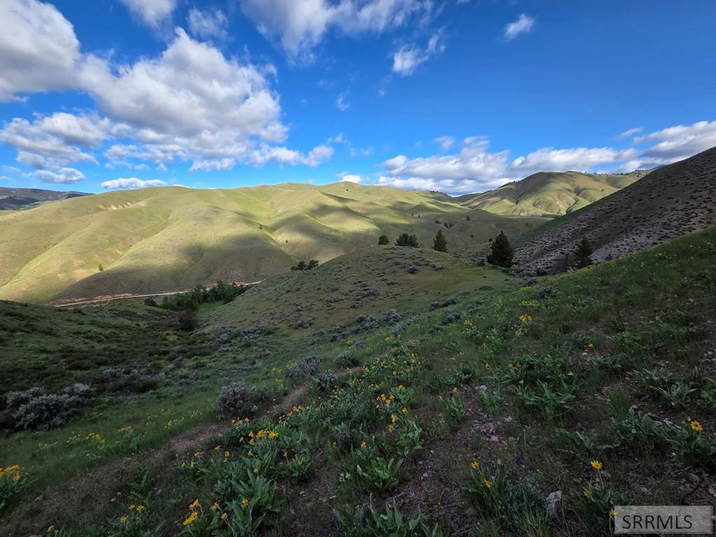 Nkn East Tower Creek Road Carmen, ID 83462 - Photo 31 of 63
