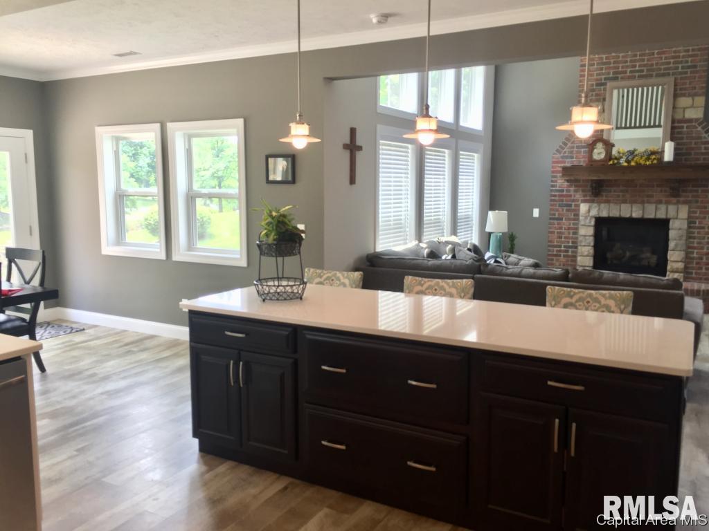 766 Persimmon Road Petersburg, IL 62675 - Photo 9 of 33 Gallery Image 9