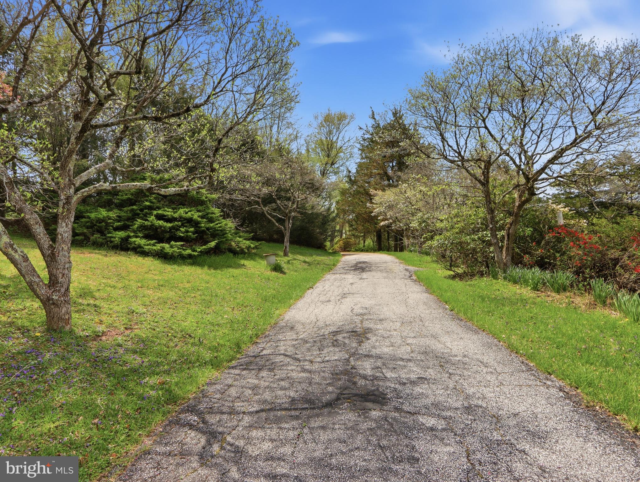 1926 Stringtown Road Sparks Glencoe, MD 21152 - Photo 39 of 46 You can hear the birds..