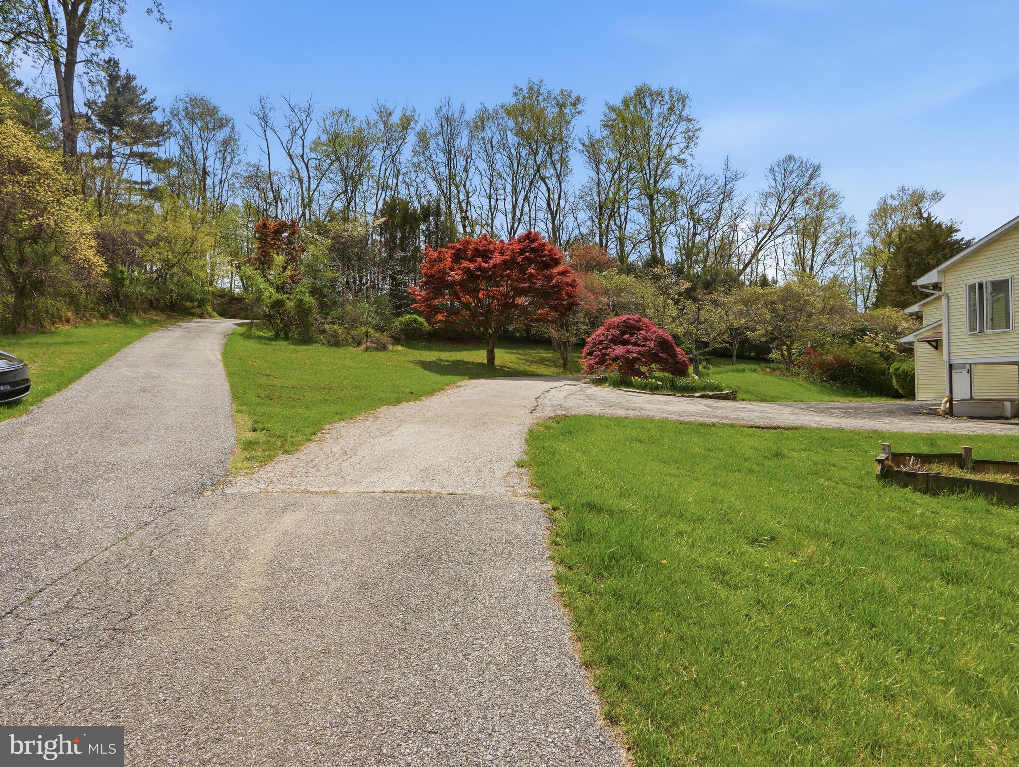 1926 Stringtown Road Sparks Glencoe, MD 21152 - Photo 41 of 46 The Daffodils bring on Springtime