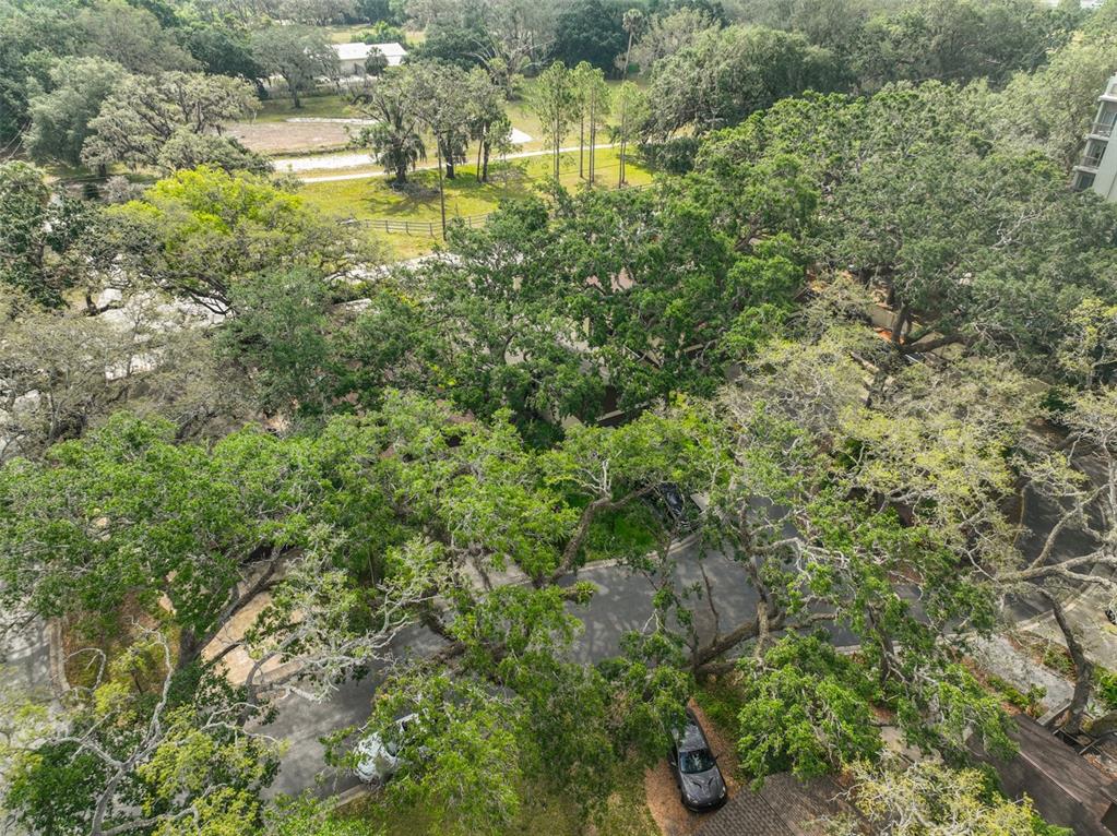 13703 Sweetwater Cove Place Tampa, FL 33613 - Photo 43 of 46