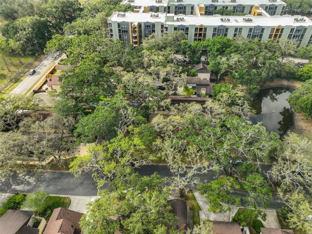 13703 Sweetwater Cove Place Tampa, FL 33613 - Photo 44 of 46