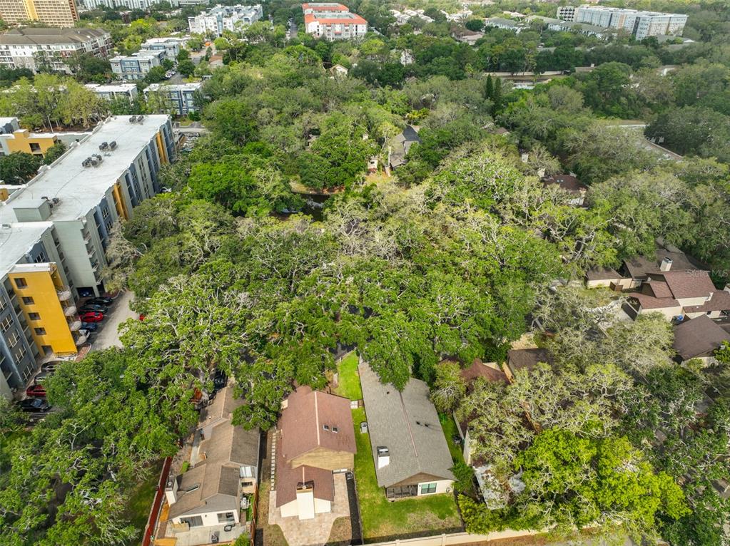 13703 Sweetwater Cove Place Tampa, FL 33613 - Photo 9 of 46