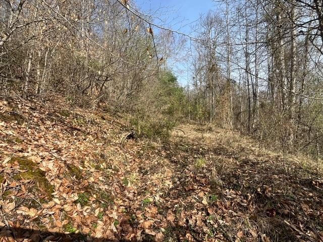 326 Earl Crisp Road Sandy Hook, KY 41171 - Photo 8 of 10