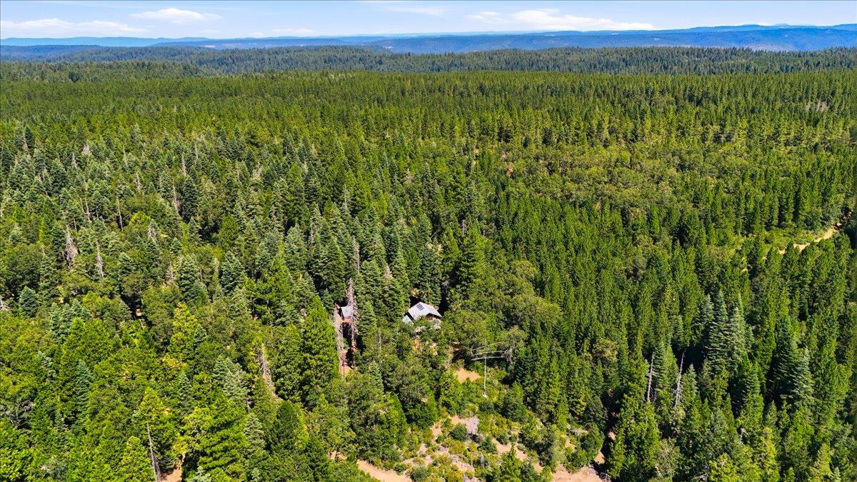 11955 Chalk Bluff Road Nevada City, CA 95959 - Photo 50 of 54 Gallery Image 50