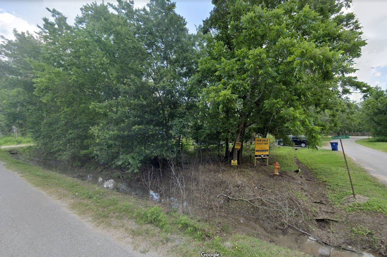 a view of a forest with large trees