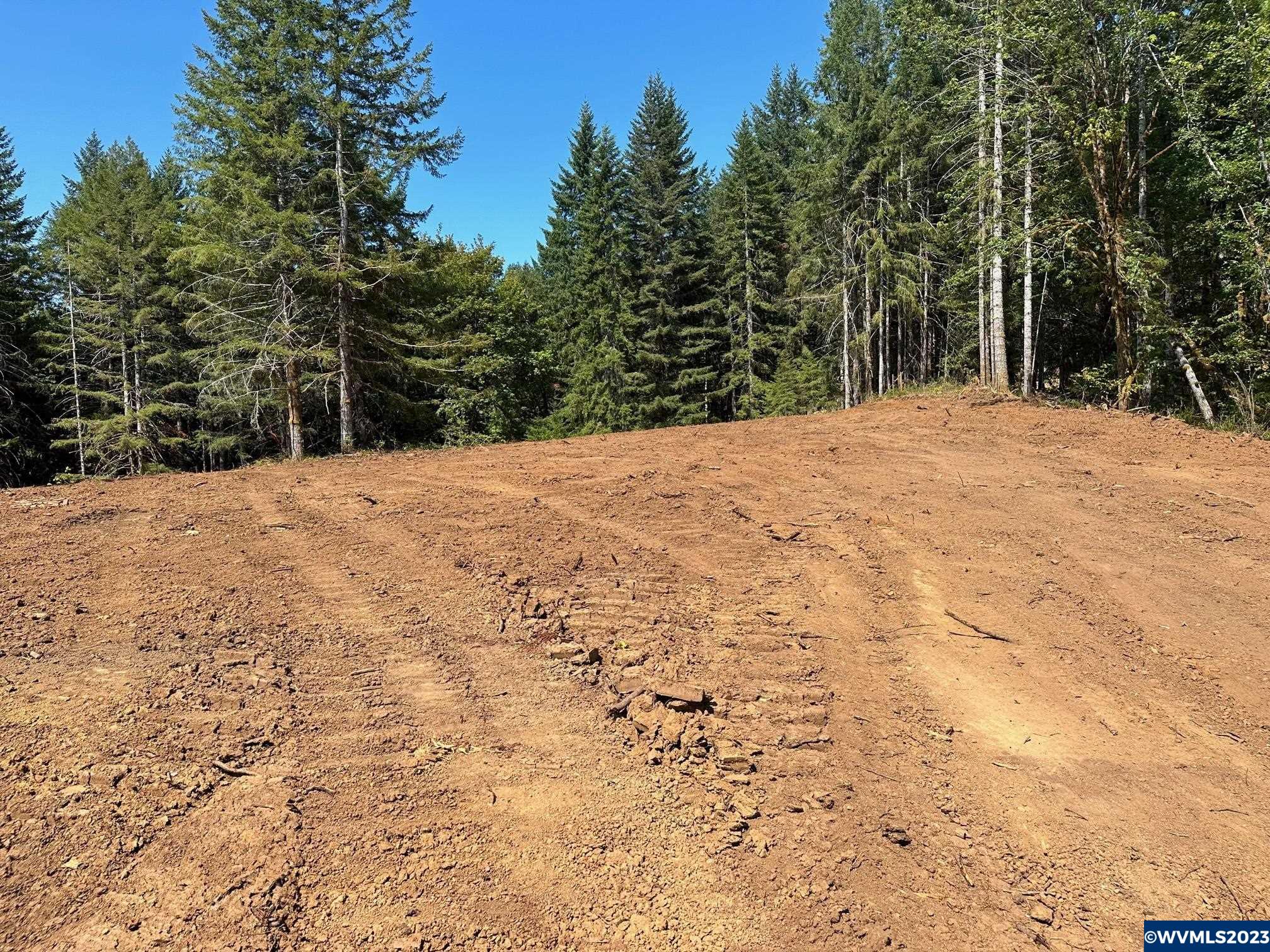 526258 Southwest Pumpkinseed Road Willamina, OR 97396 - Photo 9 of 24