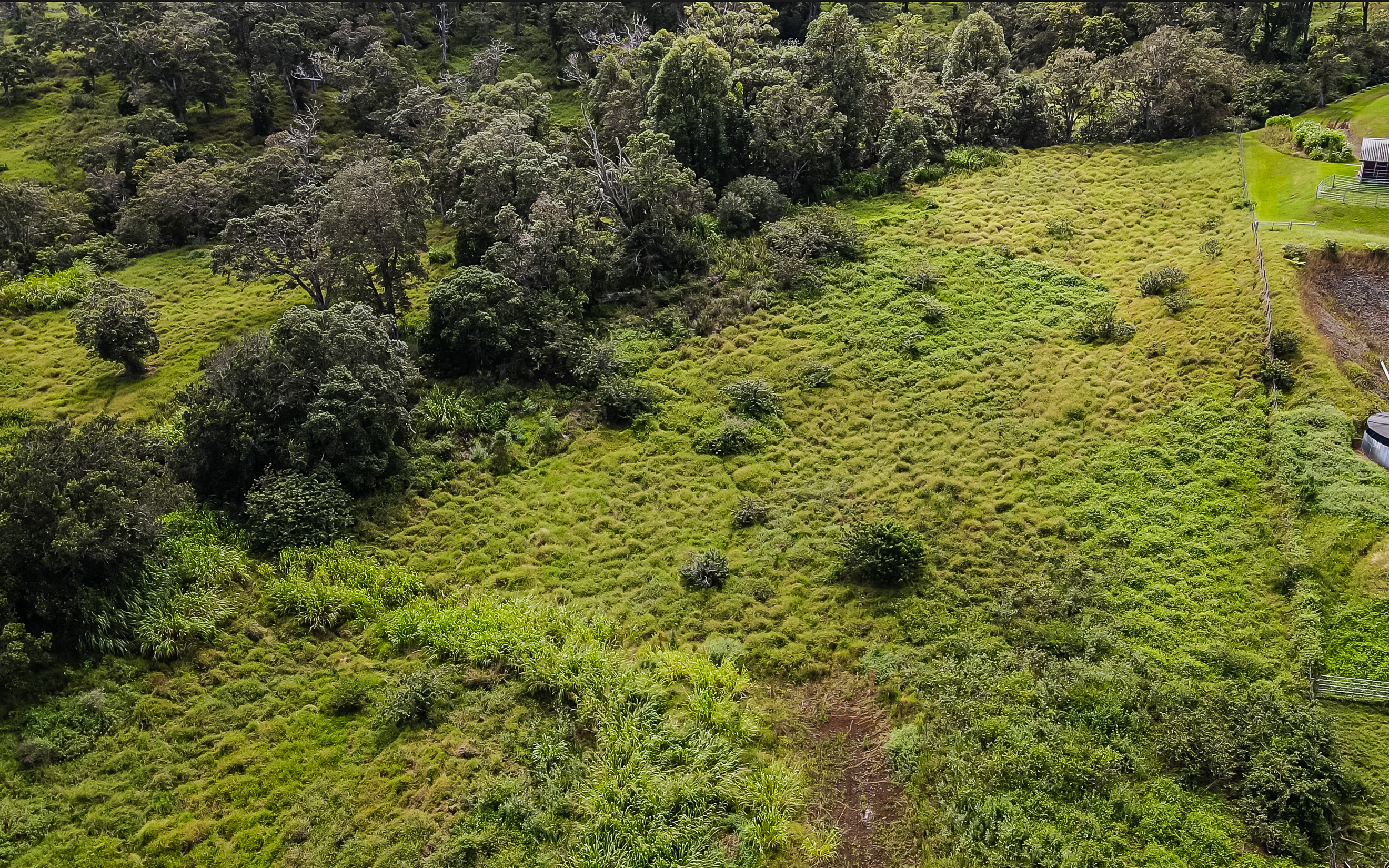 43-1815 Manienie Road Paauilo, HI 96776 - Photo 14 of 17