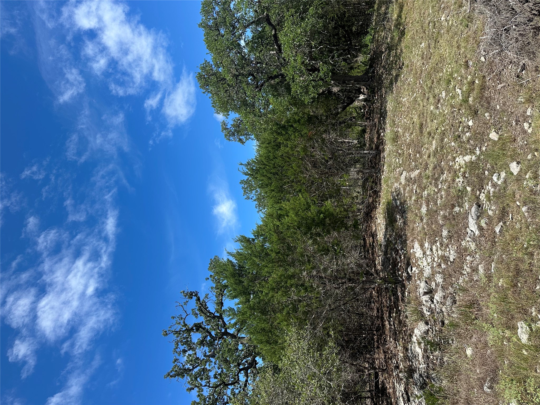0 Lantana Gold Spring Branch, TX 78070 - Photo 12 of 15 A verdant, undeveloped lot awaits your vision, featuring natural rock formations and mature trees.