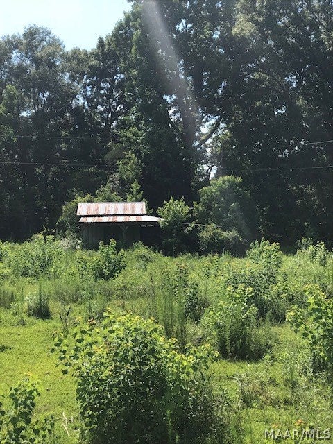 355 Merritt Hay Road Lapine, AL 36046 - Photo 10 of 13 Gallery Image 10