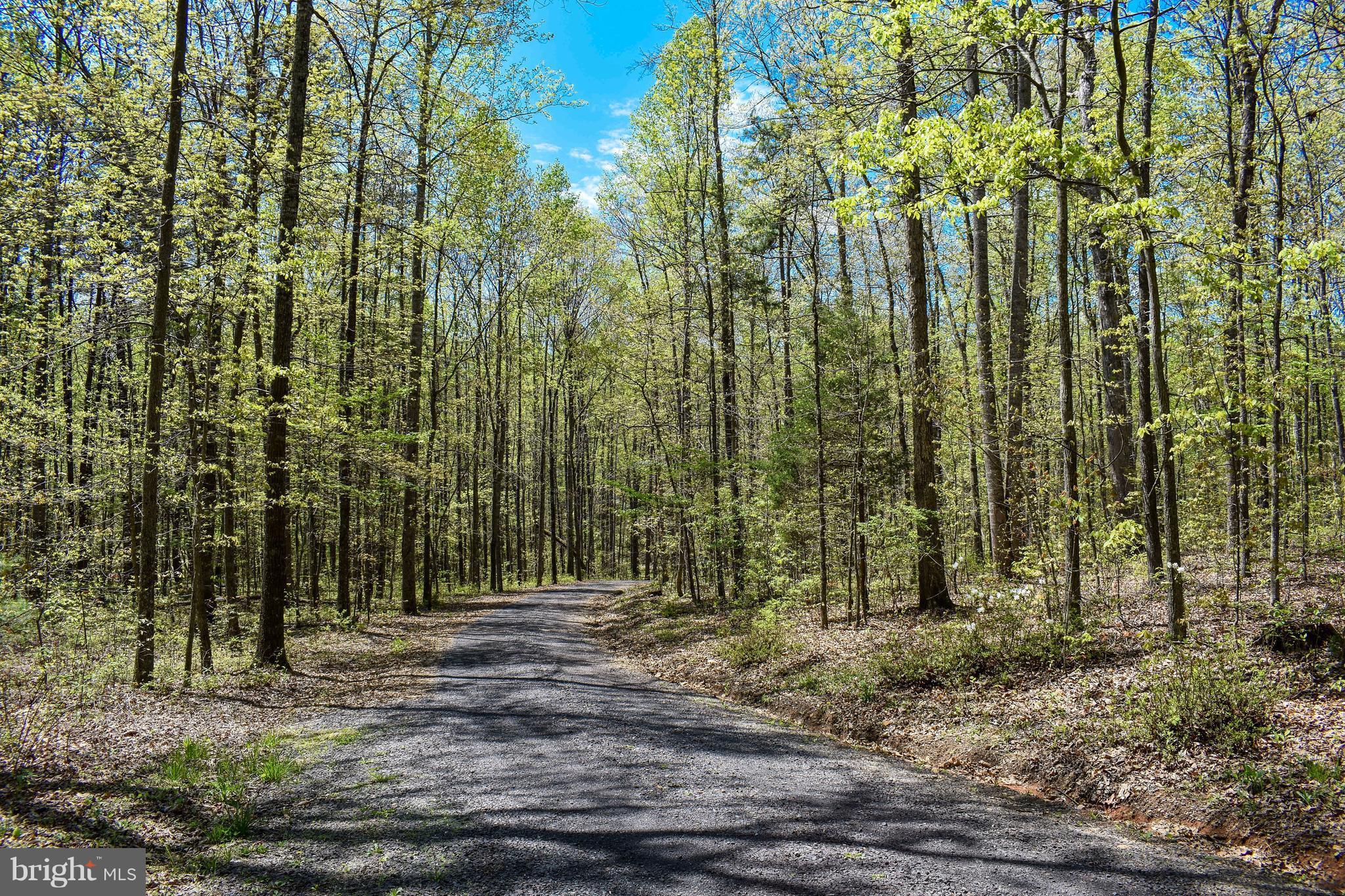 17399 North Merrimac Road Culpeper, VA 22701 - Photo 6 of 21 Driveway