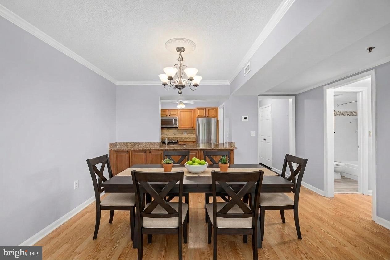 545 East Braddock Road, Unit 408 Alexandria, VA 22314 - Photo 5 of 31